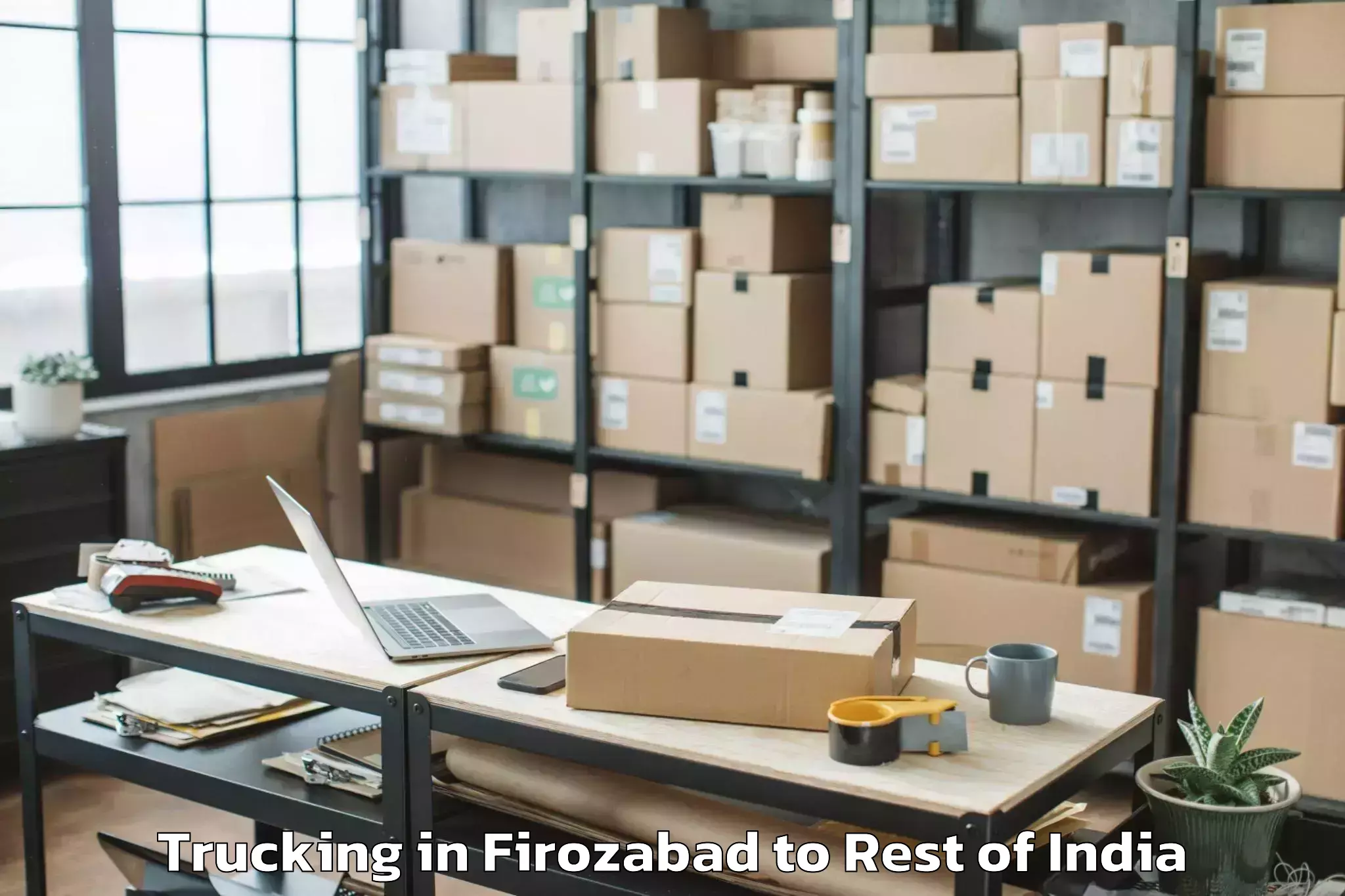 Leading Firozabad to Naharlagun Trucking Provider